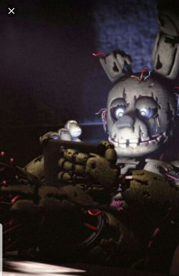 sadearmc's tweet photo. @Evanader_17 Golden freddy is the og💯 i also love these two!!!! Theyre both gen z at heart❤️ https://t.co/U2uaXbwuym