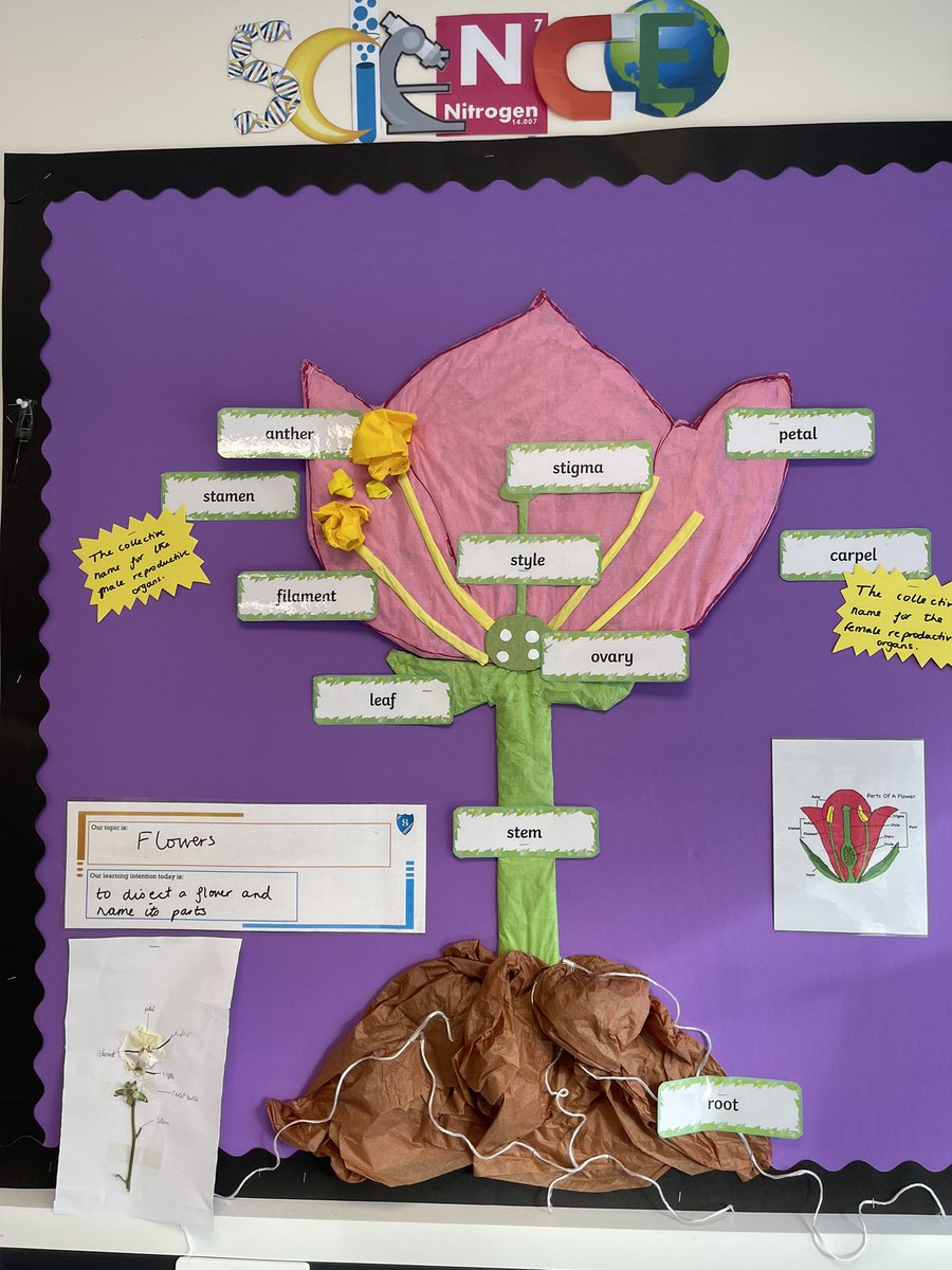 alexkais89's tweet photo. Displays all ready to go ! #teacherlife #classdisplays https://t.co/stulsFvOG4