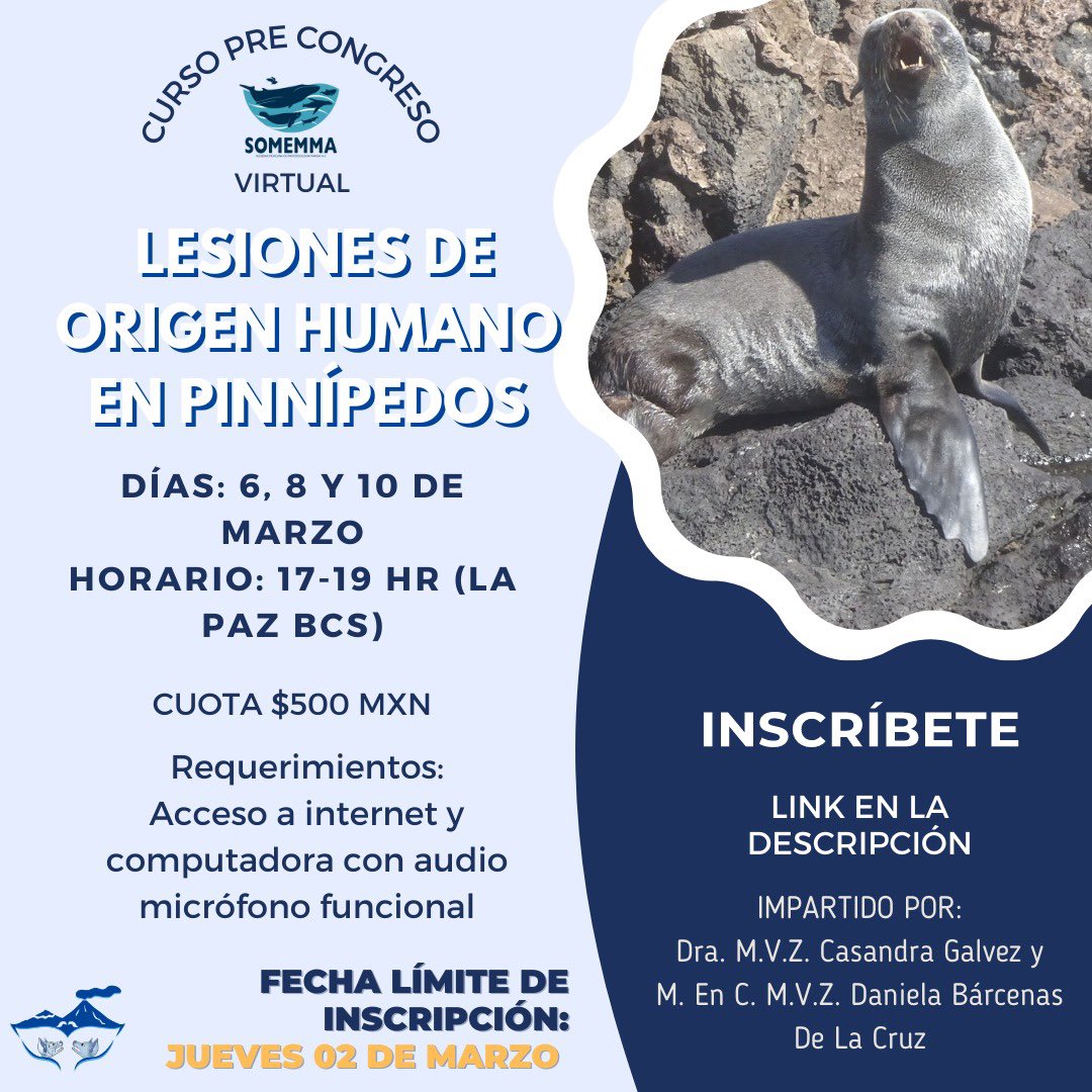 SOMEMMA1's tweet photo. Cada día más cerca de nuestro curso pre-congreso titulado “Lesiones de origen humano en pinnípedos”. No se pueden perder esta gran oportunidad. Fecha límite de inscripción: este jueves 02 de marzo. https://t.co/qksdF3zsEg https://t.co/OOcGMCCYpt