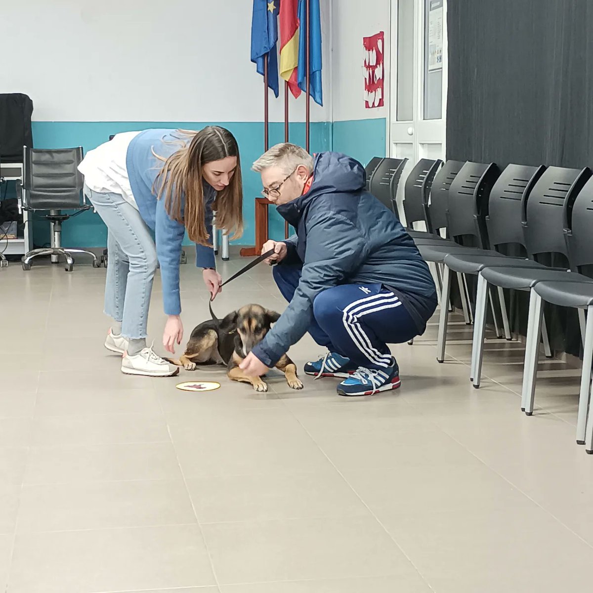 FeafesMelilla's tweet photo. Comenzamos la semana con la compañía de nuestra amiga canina Mae 🐶🐾
#feafesmelilla #feafes #caninoterapia #perro #saludmental https://t.co/qkPB3lUykB