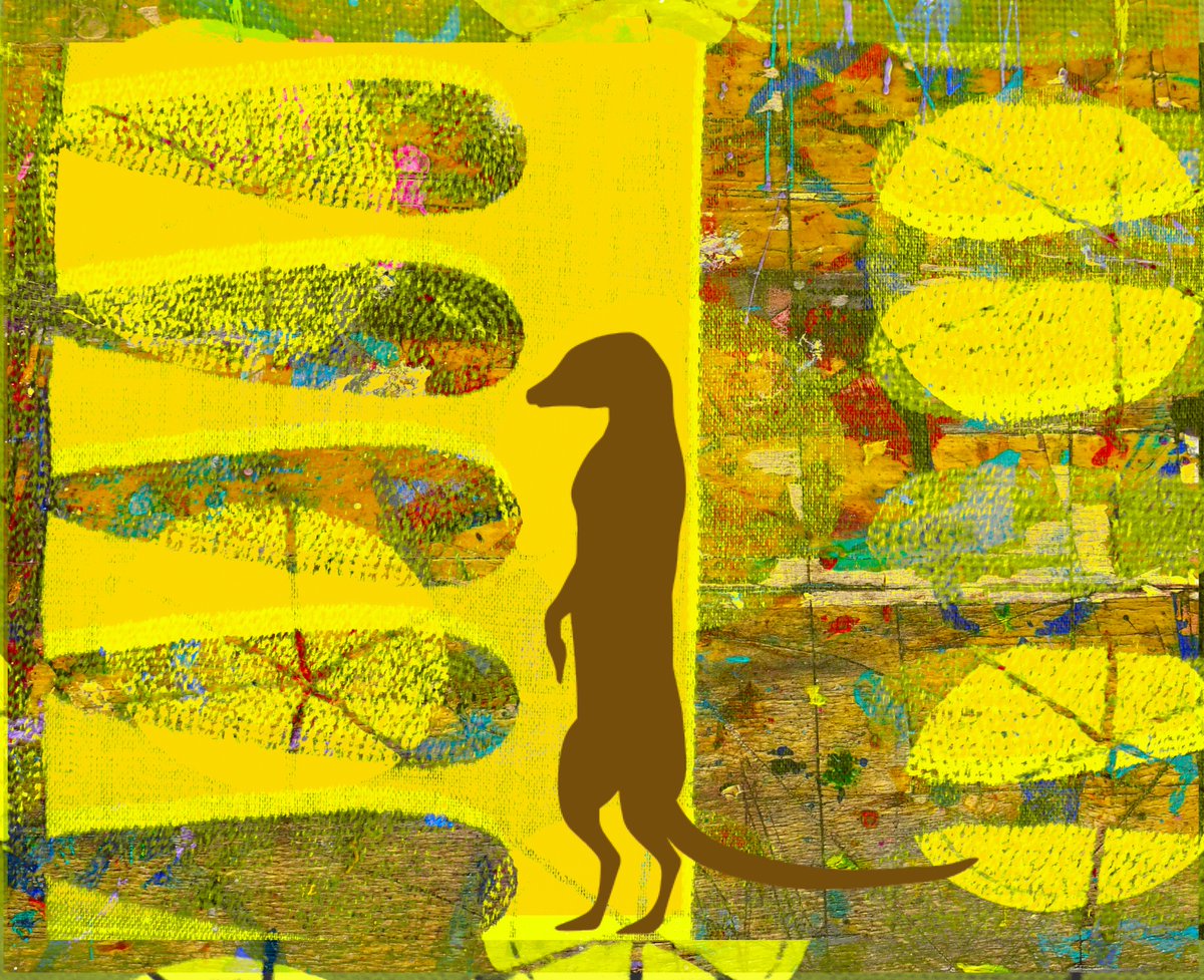 beccoverde's tweet photo. @janisphotos #artshare #meerkat https://t.co/WcrwpbhoMT