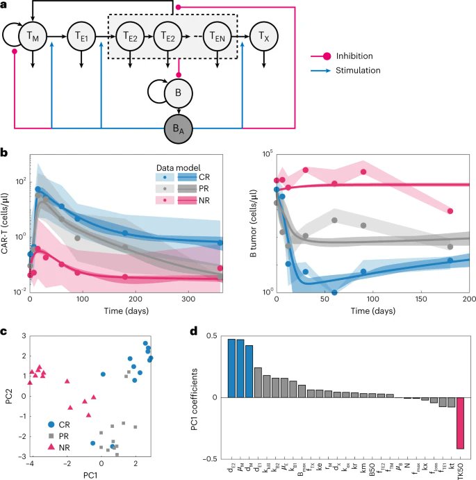 Deconvolution of clinical variance in CAR-T cell pharmacology and response go.nature.com/3kEGRqC