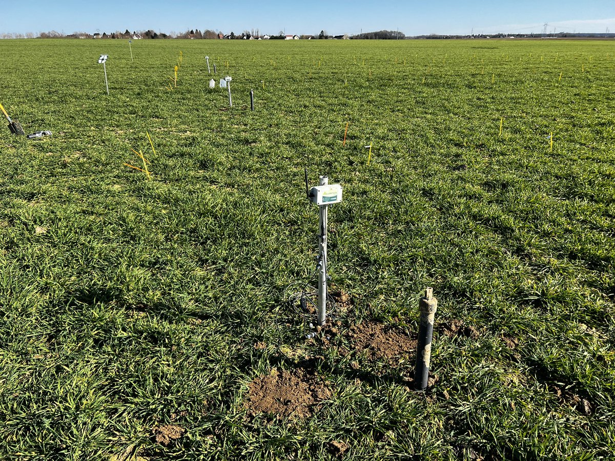Pose de nos sondes sur le futur essai digestat #methanisation 2023 🙂 
Elles serviront à mesurer l’évolution des teneurs en nitrate du sol par rapport à la forme minérale .. 
Chaque année on va un peu plus loin pour comprendre et optimiser sa valorisation par la culture 👍