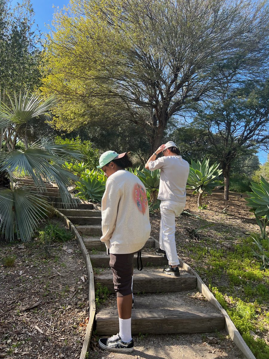 typetype tweet media