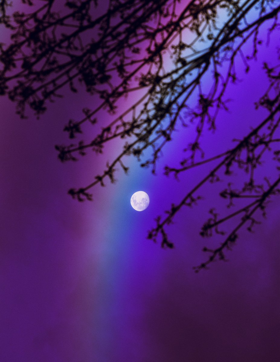 _ponygirl's tweet photo. Sacrificial Clouds https://t.co/526nxyN3X8
