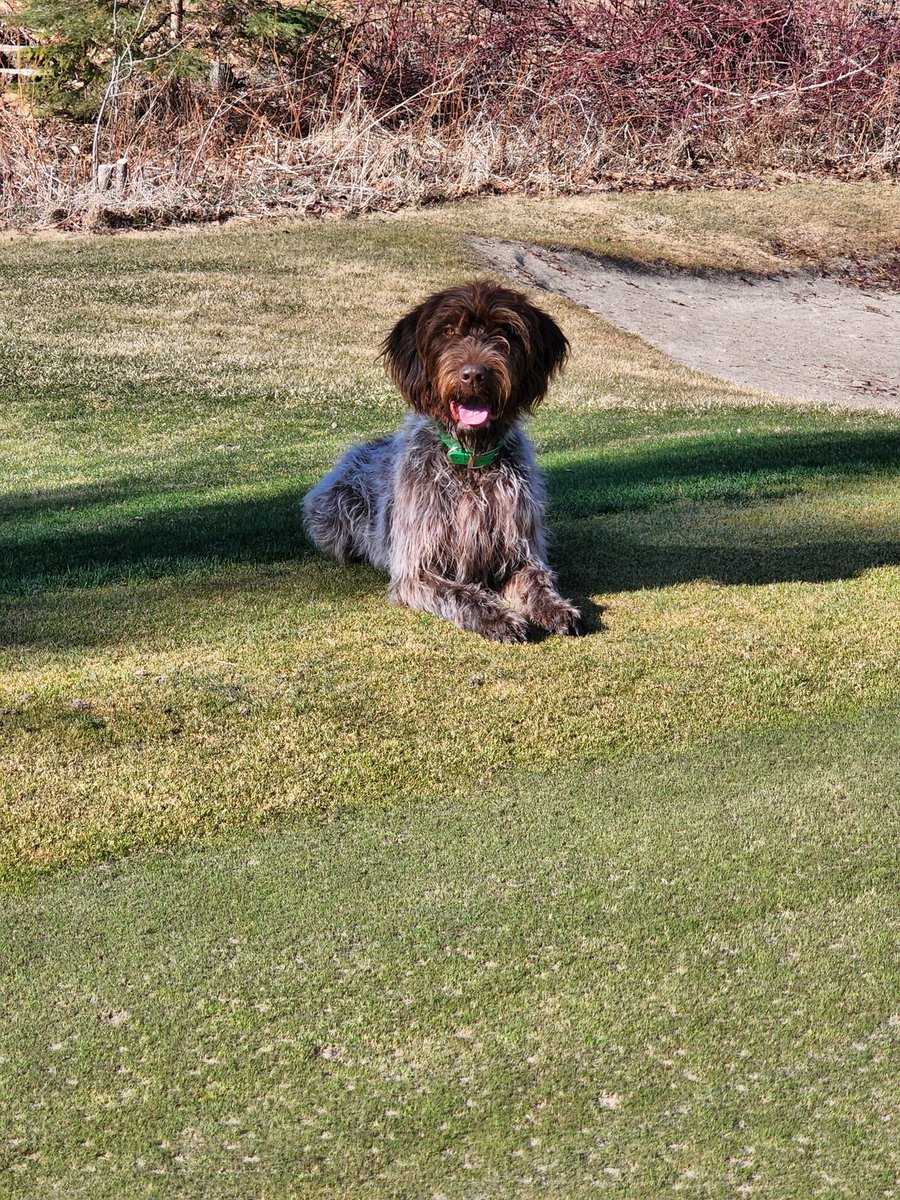 Tyson Arcand tweet media