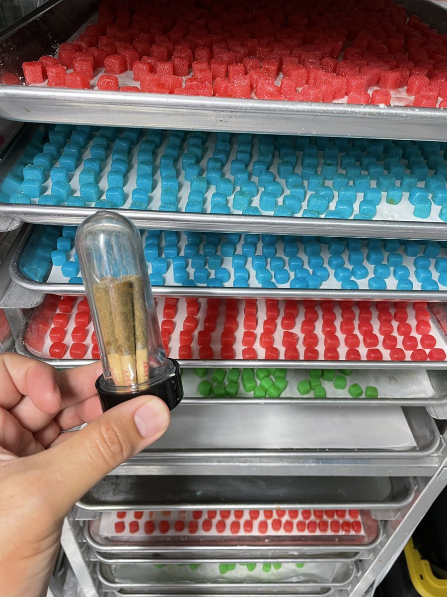 Christopher Marcus tweet media