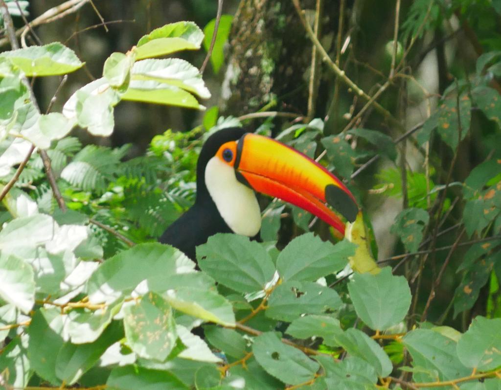 themonkdude's tweet image. Planetary Leadership Training bit.ly/3IzGJAS