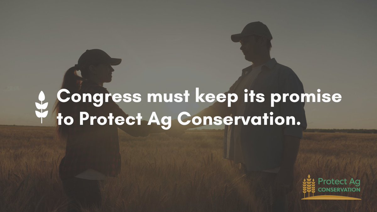 nwf_ag's tweet photo. We are proud to join over 600 of America's leading farmer, rancher, sportsmen, wildlife & conservation groups to call on #Congress to follow through on its promise to #ProtectAgConservation https://t.co/Vej5pVE5af
