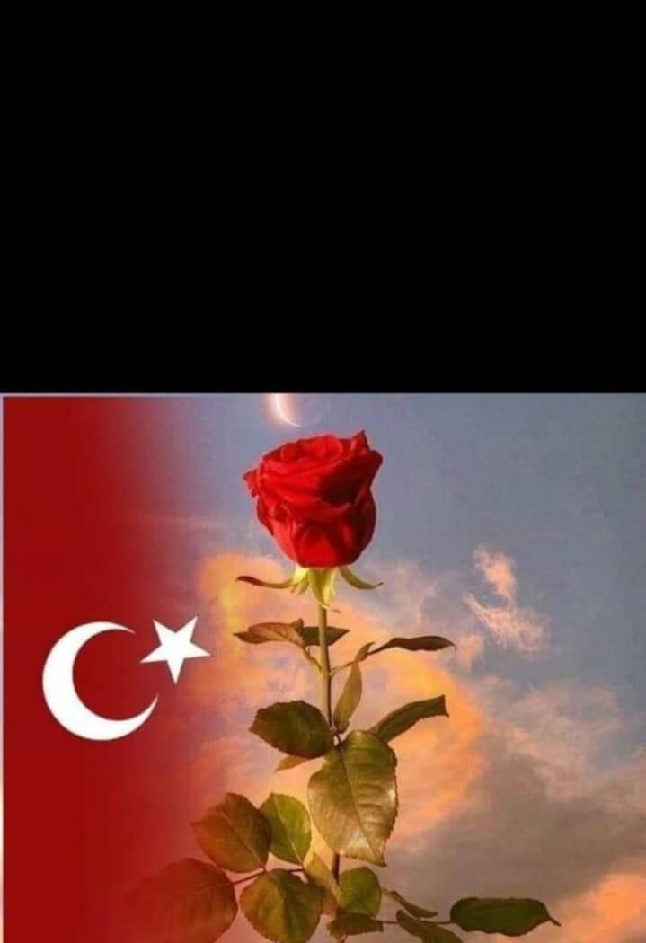 AoalpaslanOzer's tweet photo. BU FELAKETTEN SONRA Her yıl göç veren ŞEHRİN AYAĞA kalkması ANCAK İL OLMAK İLE OLUR,.,. #Elbistan82PlakaOlsun
@MehmedFaruki @RTErdogan
@suleymansoylu
@Elbistander @kilicdarogluk @dbdevletbahceli @@meral_aksener @mahirunal
@Ali_Oztunc https://t.co/VHk4BHPcuW