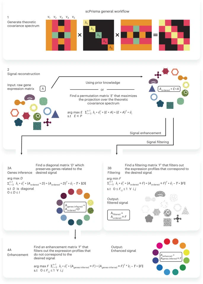 scPrisma infers, filters and enhances topological signals in single-cell data using spectral template matching go.nature.com/3IxEk9H