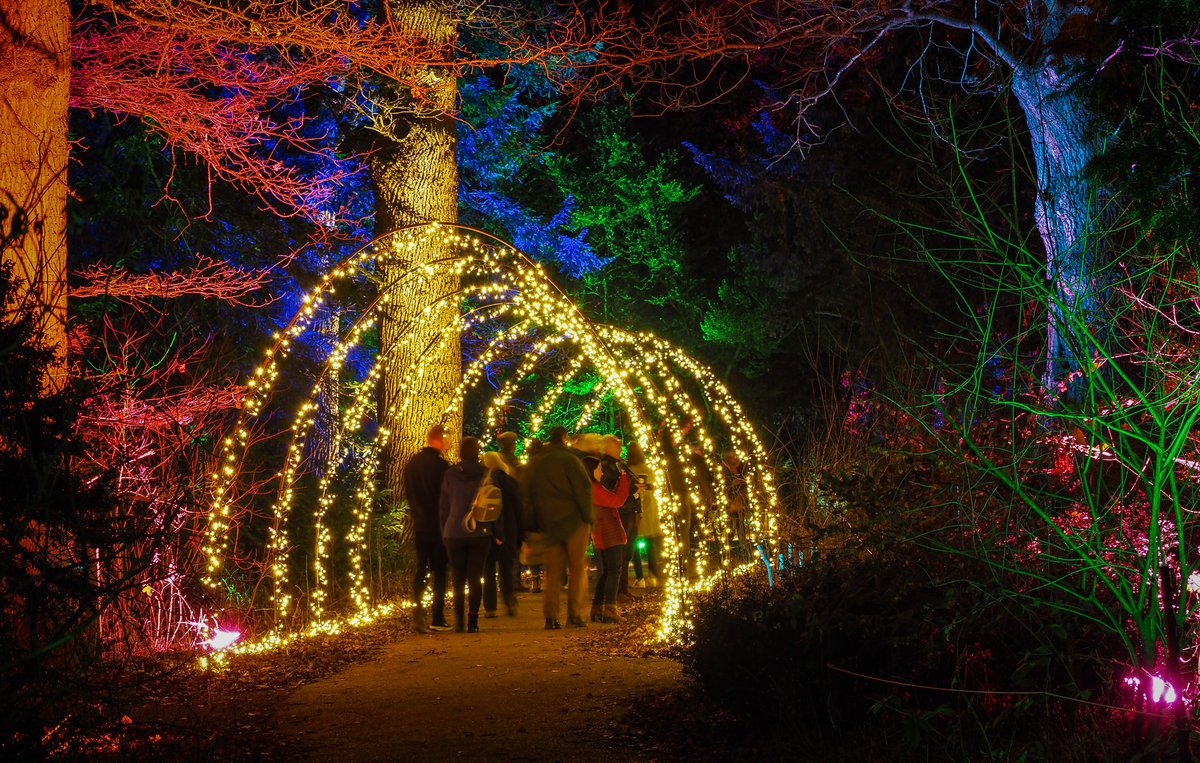 Don't miss the last weekend of Spectacle of Light!
Ends Sunday 5 March 
Book your tickets👉ow.ly/i4t450N3p6f
📸Steve Green
