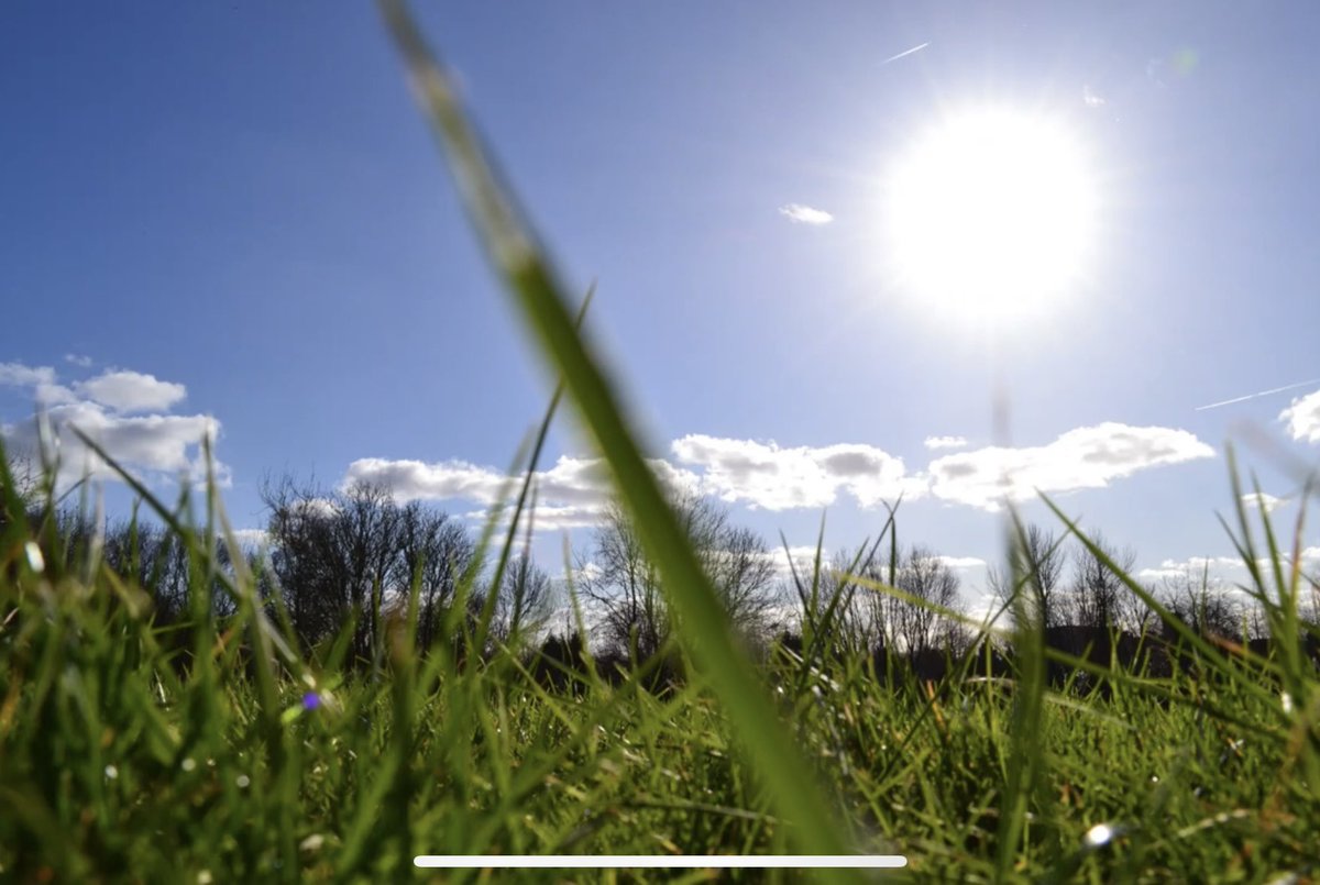 Alexandra Park Junior School tweet media