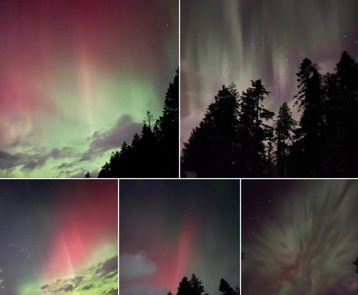 Priest Lake Northern Light Feb 26, 2023
COMING AROUND AGAIN Feb 27 
Priestlaker.com #priestlakeidaho
Photo Westerkamp