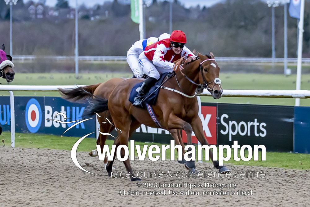 WolvesRaces's tweet photo. Race 1 Result -  Huge Daily Boosts Only At @BetUKOfficial  Amateur Jockeys' Handicap

🥇 - Dream Harder 

Jockey: Mr Patrick Millman 
Trainer: @ianwilliamsraci
Owner(s): Paul Farrell

Photo by @WolvesRacesPics https://t.co/DxIZR5Wxwc