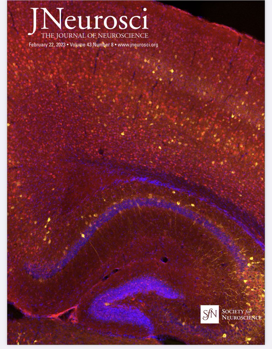 Chris Dulla tweet media