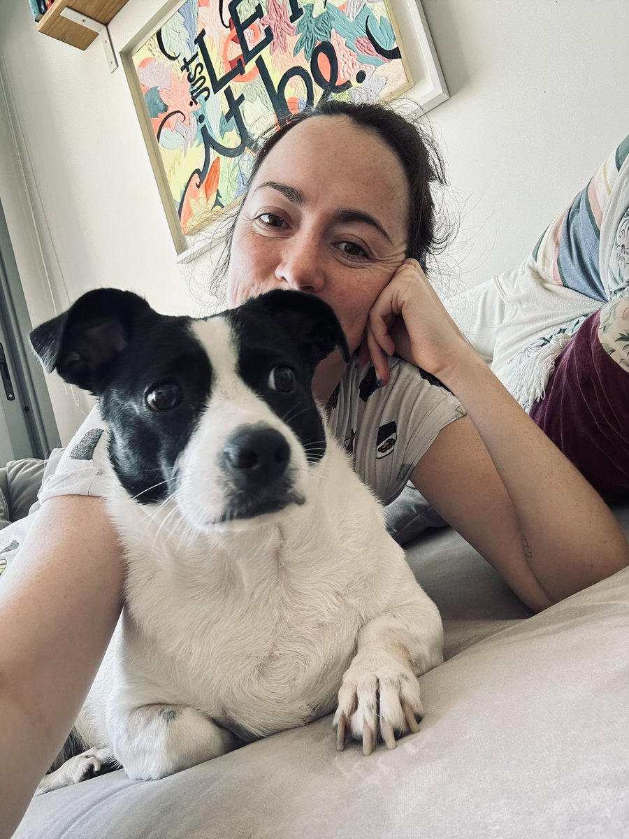 agusrecomienda's tweet photo. Cuando mi mamá era chica tuvo una perra que quiso mucho. Hace casi un mes que adopté a Pelota y no entendía por qué se quedó tan impactada cuando la conoció… ahora que encontró la foto de su infancia lo entiendo. Tienen hasta el mismo remolino en el pecho. https://t.co/JFHE6C2naf