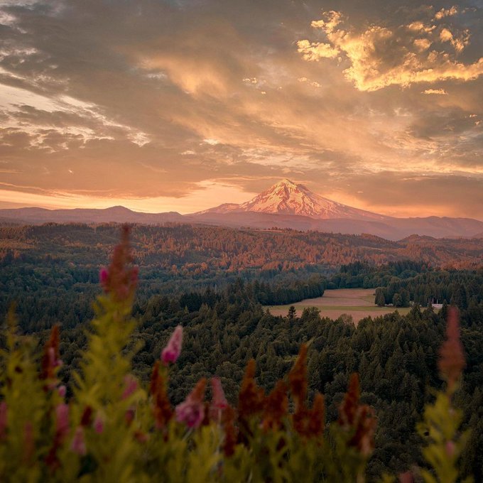 FredDelcard's tweet photo. Mt. Hood in a word? Iconic. 
(📷 : @nicholas_steven_ via IG) https://t.co/CKFxxzkEe8