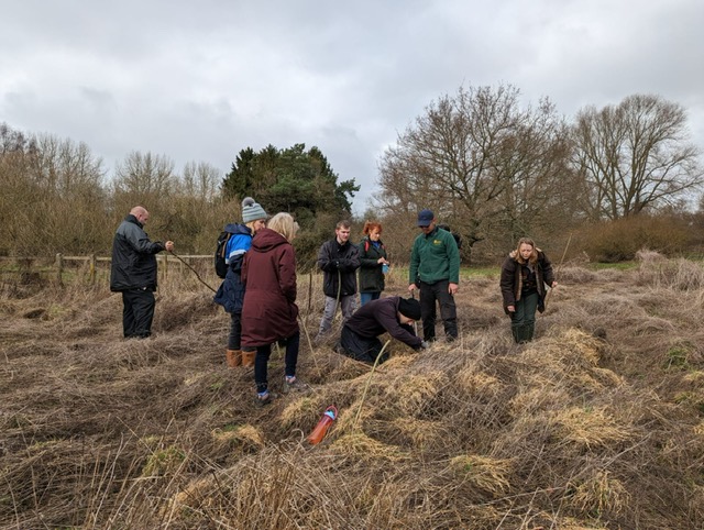 We were out surveying for signs of harvest mice at Kingsbury Water Park last Friday. Great fun and some success! we hope to run more of these events in future. All are welcome, regardless of how much experience you have.#harvestmice #mammals #survey @Mammal_Society