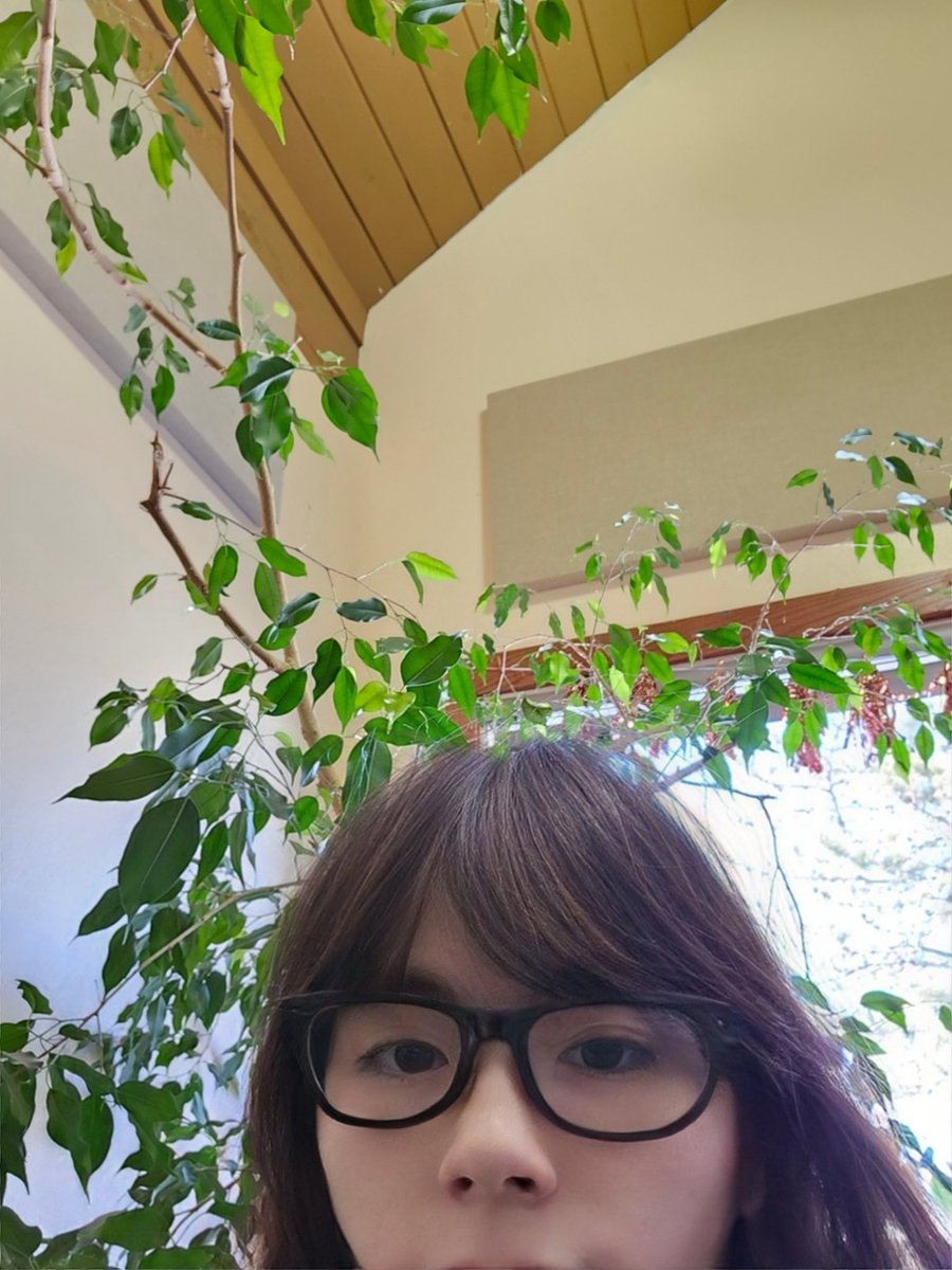 RunningCheyanne's tweet photo. College is kinda mid when you have no friends https://t.co/J4wRML2y6G
