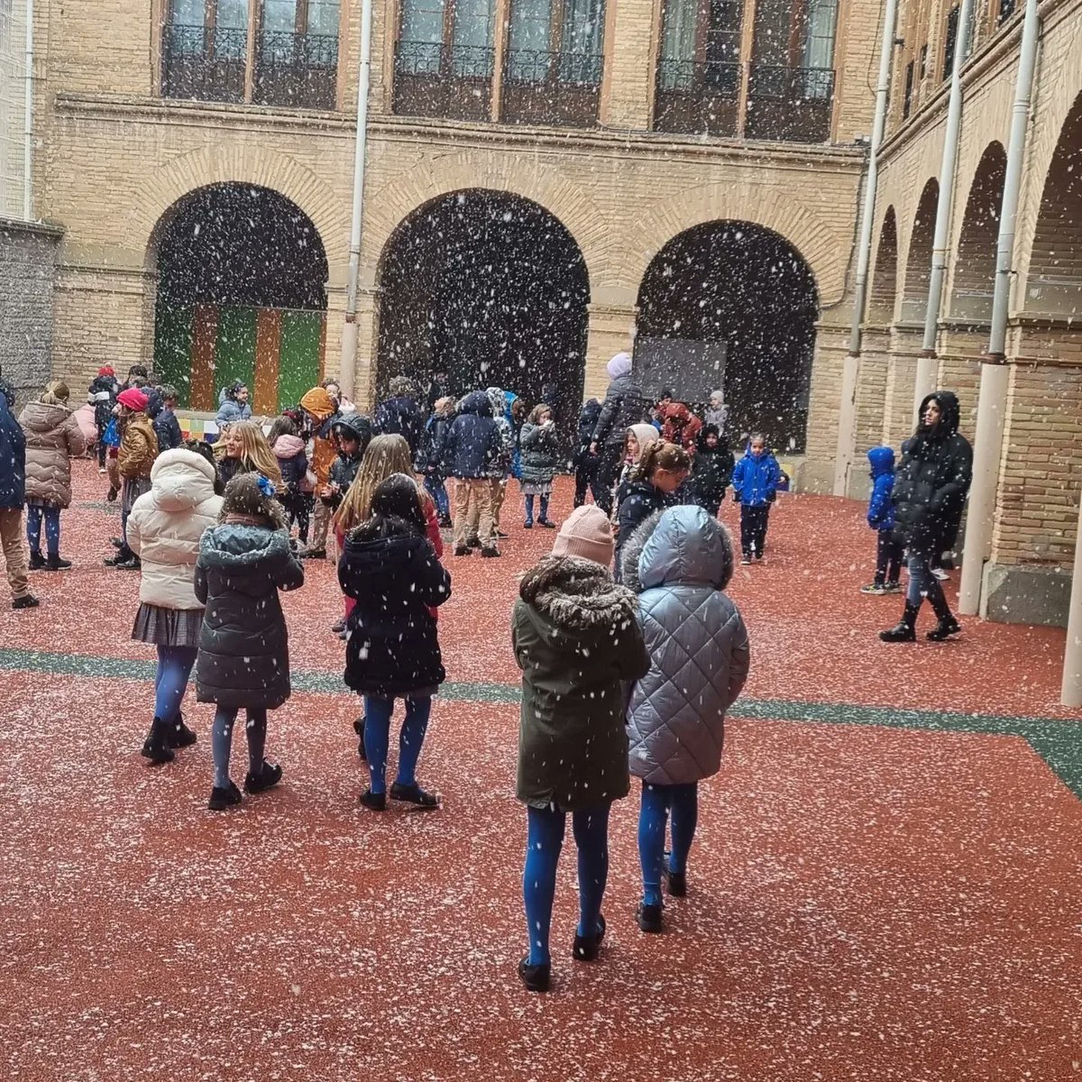 CoamiAlfaro's tweet photo. La nieve ha llegado al COAMI!!! 
Felicidad en estado puro!!!
#somoscoami #familiacoami https://t.co/tBvI6CPrbH