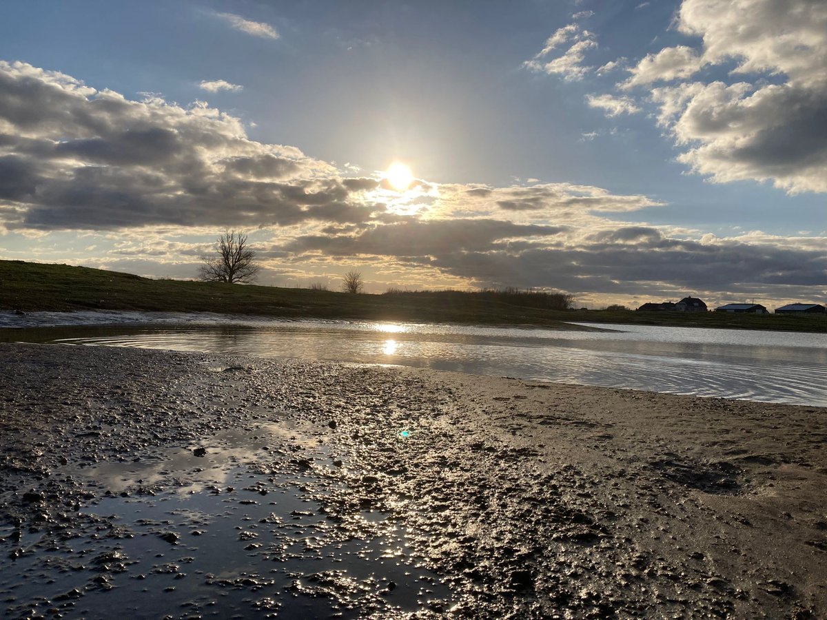 Carmen (@violetxkikkertj) on Twitter photo 