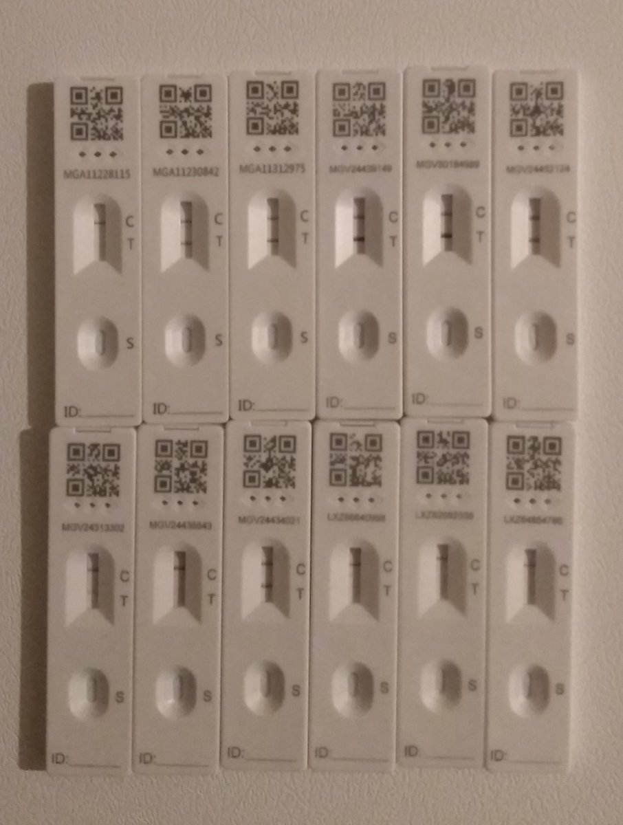 And on the 12th day I finally score a negative COVID test. Happy Monday.