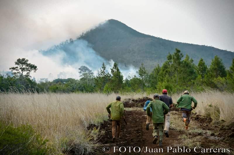 DiazCanelB's tweet photo. Es grande el coraje y el sacrificio de bomberos, guardabosques y pobladores que enfrentan en Pinares de Mayarí el fuego devorador de los bellos y valiosos bosques de la región oriental. Nuestro más grande reconocimiento a su heroica pelea por la naturaleza de #Cuba. https://t.co/d5E6Z1LEr1