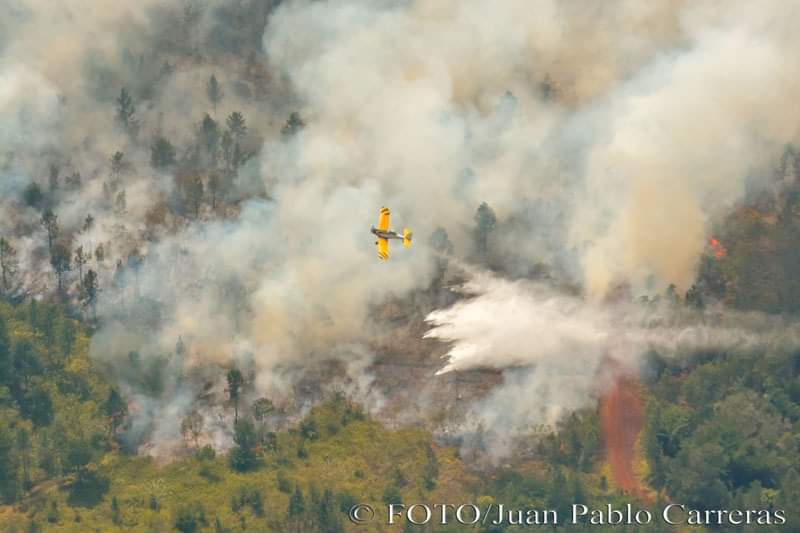 Es grande el coraje y el sacrificio de bomberos, guardabosques y pobladores que enfrentan en Pinares de Mayarí el fuego devorador de los bellos y valiosos bosques de la región oriental. Nuestro más grande reconocimiento a su heroica pelea por la naturaleza de #Cuba.