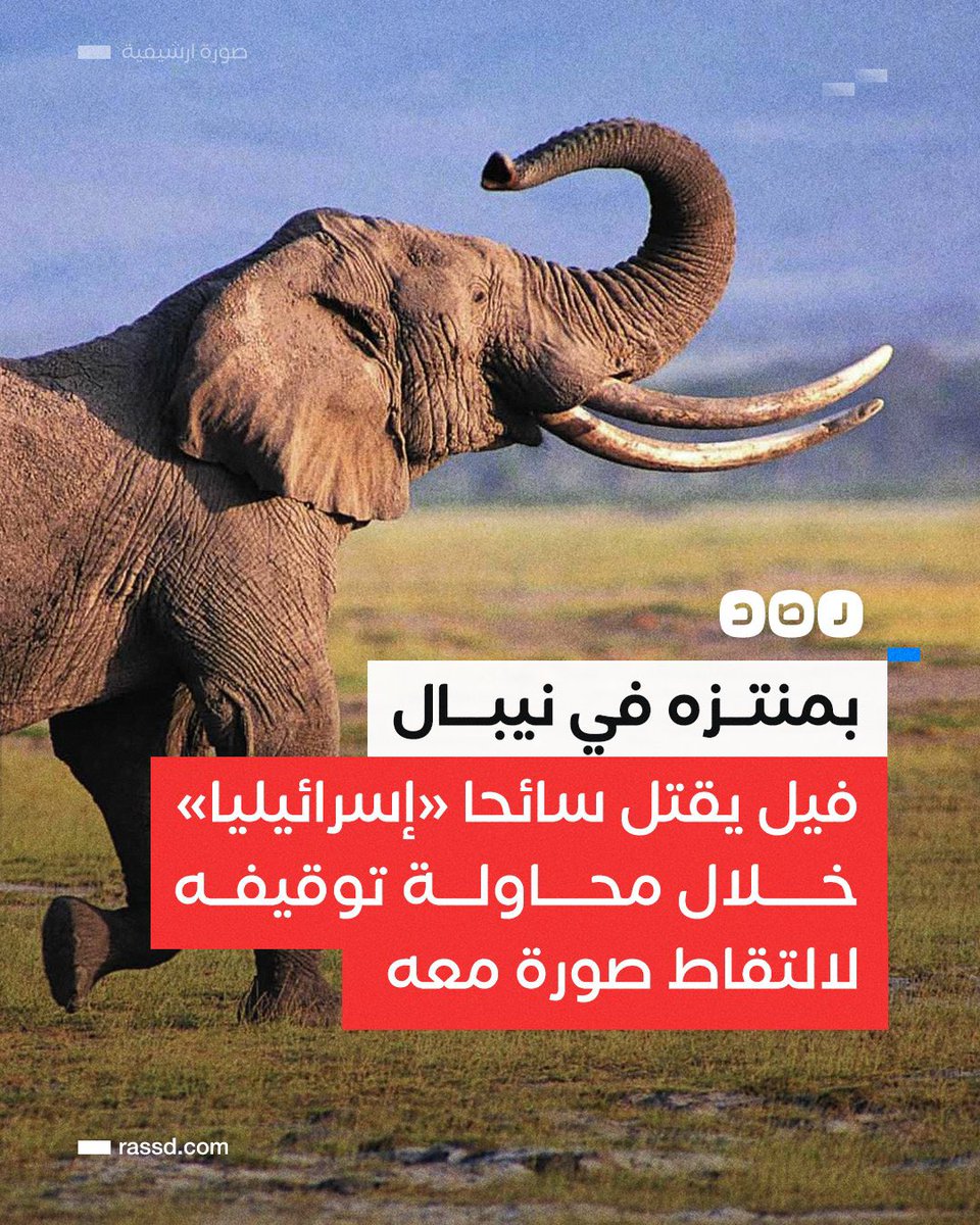 Ibnukenana's tweet photo. قال #سهم_بن_كنانة: حتى الحيوان يكره التطبيع، ويدرك سر اغتيال الربيع، ولا يعترف بالاحتلال، وانظر ما حصل بنيبال، حيث قرر فيل، الثأر من بني إسرائيل، فاستدرج أحدهم للتصوير معه، ليذيقه في ثوان مصرعه، فلم يكد يقترب من خيشومه، حتى مزّقه بخرطومه، كأنما حصدته قنبلة، إن لله جنوداً من فيلة. https://t.co/uQSmKyApoE