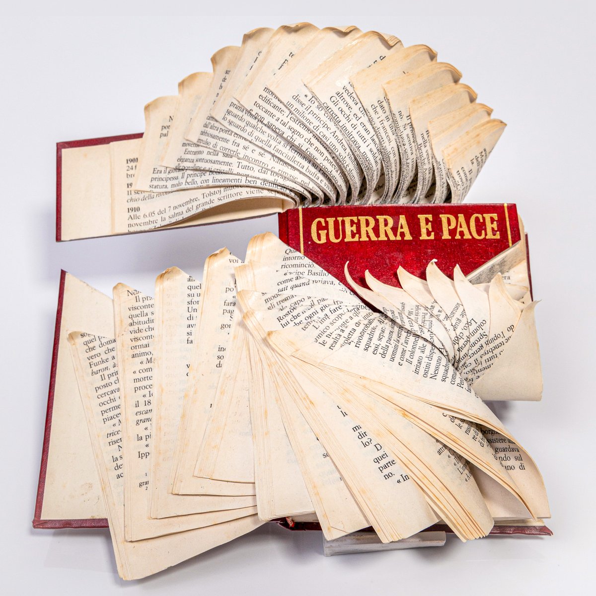 October Gallery tweet media