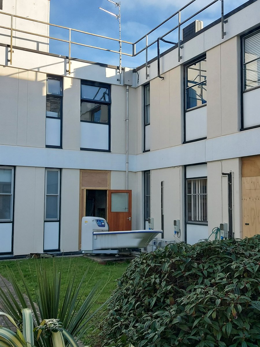 Just a bath.....casually hanging out in a courtyard 🤟