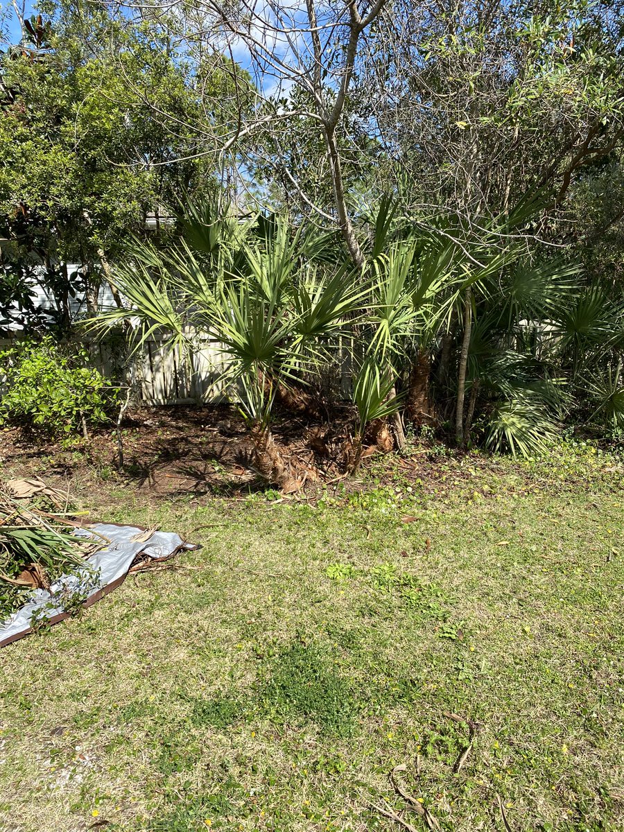 DIRT MONKEY tweet media