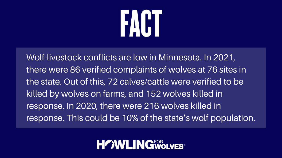 This #MythMonday we address the disproportionate rate at which wolves are slaughtered to compensate for livestock depredation.

We need to #StopTheSlaughter and take advantage of non-lethal methods of protecting livestock!