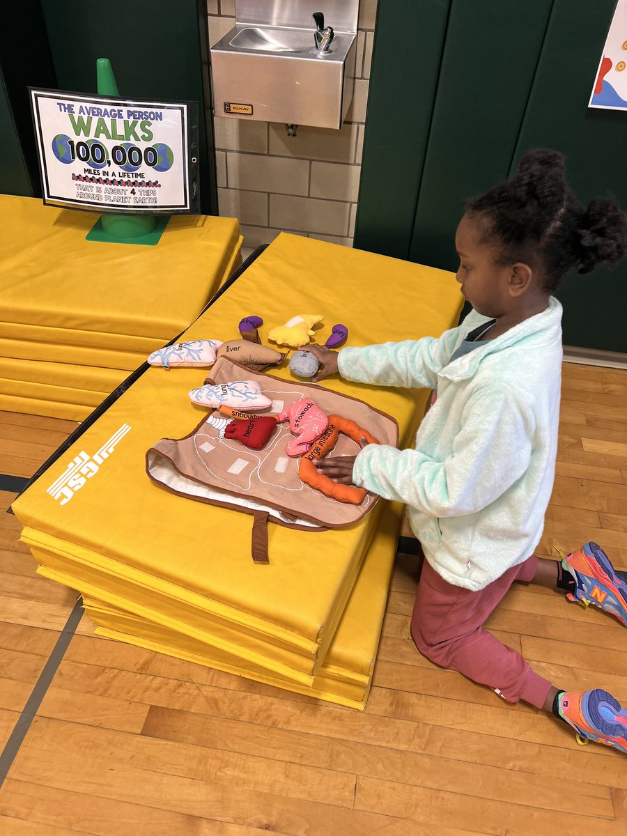 The WONDER Museum is in full swing at Dodge. Miss Widmer has teamed up with Ms. Dylag, during PE classes all students will have the opportunity to explore the WONDER Museum and learn all about the Human Body!