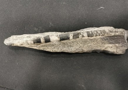 ianSVT_Aix_Mrs's tweet image. Sur le site de #SVT de l’@ACAixMarseille la #newsletter et ses news : #BD, #podcast, ressources #scientifiques, #pédagogiques, #didactiques, #numériques (@wooclap, #flashcards #jeuxintelligents), un focus sur les #modèles et la #modélisation
pedagogie.ac-aix-marseille.fr/jcms/c_1110248…