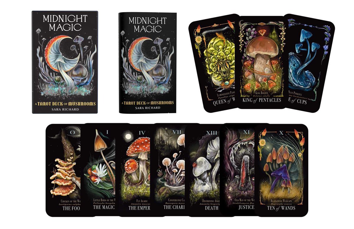 Preorder for spring-time divination! My mushroom tarot set is coming out next month! Reserve your copy here:
amazon.com/exec/obidos/AS…
#mushroomart #MushroomMonday #Tarotcards #COMINGSOON #preorder <a href="/adamsmedia/">Adams Media</a> <a href="/simonschuster/">Simon & Schuster</a>