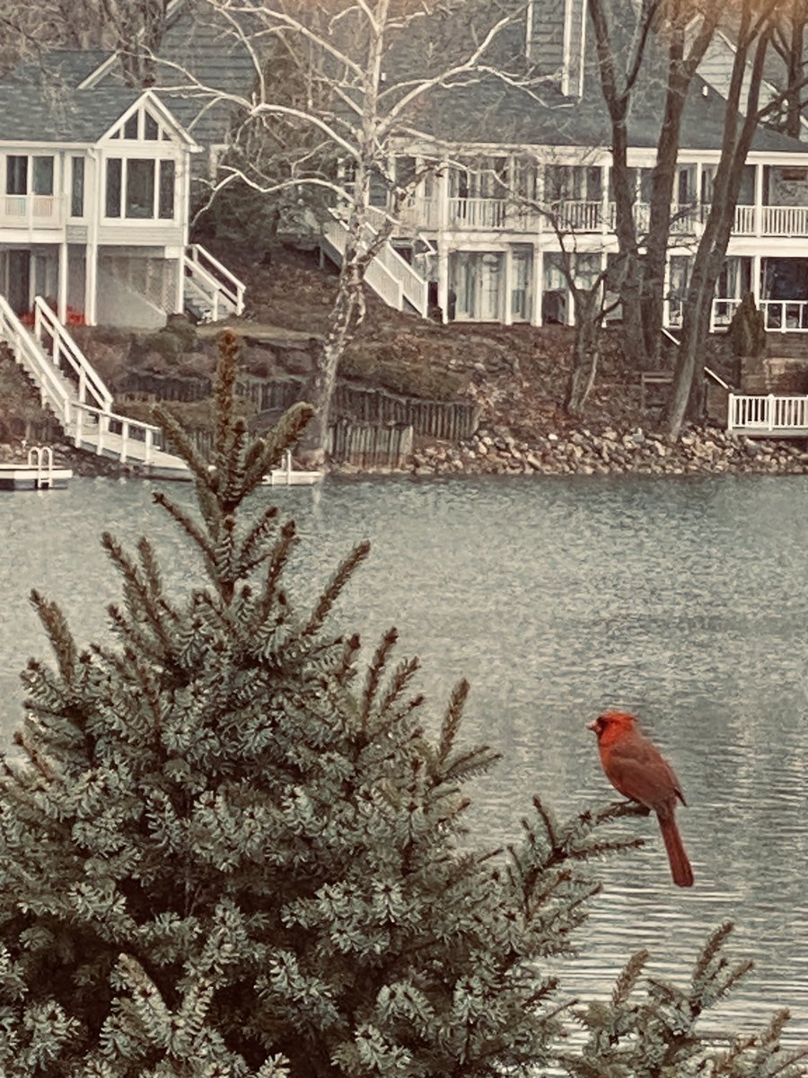 threefly's tweet image. Just in case you need to see something pretty today. 🍀