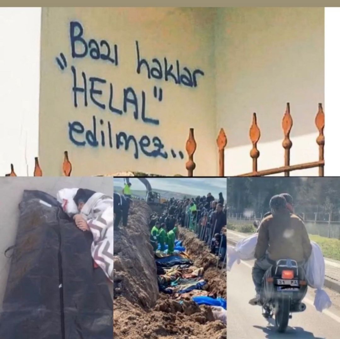 Diplomalı Kitapçı_ (@gela_wej) on Twitter photo 