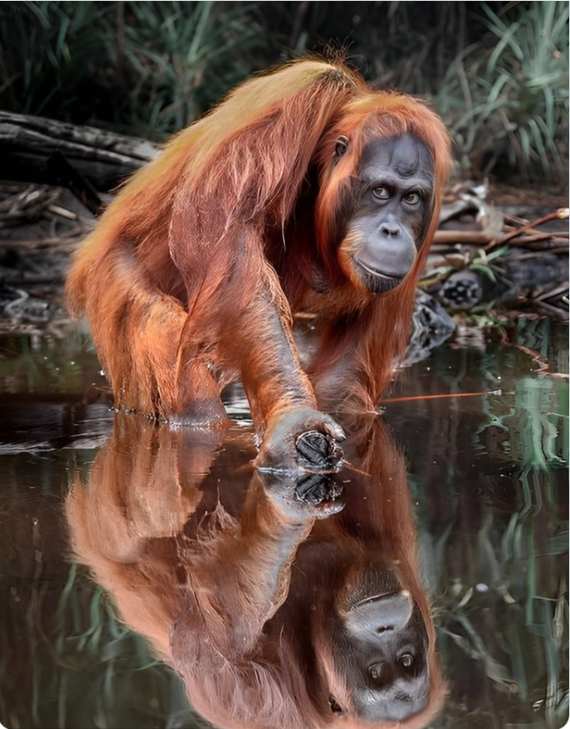 Yes, I'm looking at you, the one reading this! You're amazing! <a href="/TakeTwoSeconds/">Take two Seconds</a> to #retweet