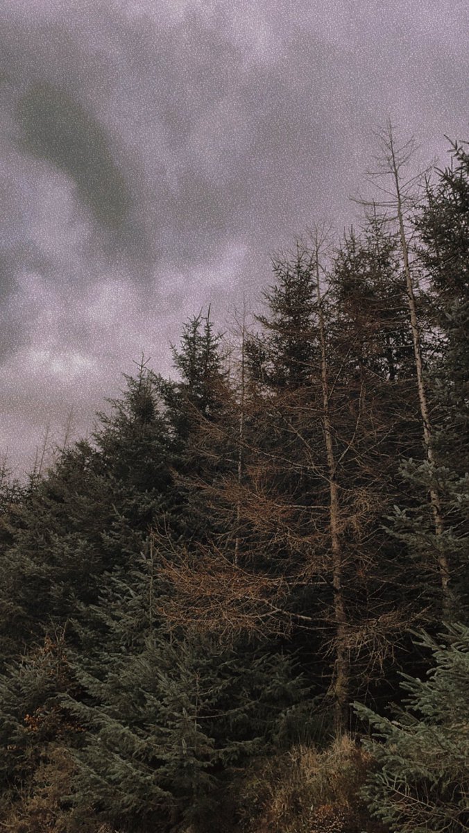 jenasaurusrex94's tweet photo. 🍂 Back with the walks 🍃 https://t.co/4mhV9LkAoH