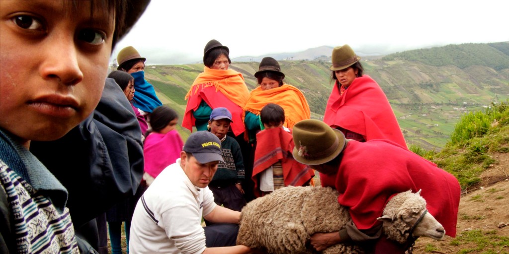 PeaceCorps's tweet photo. Volunteers to #ConnectWithTheWorld through language, food, culture, and service. Agriculture Volunteers & their counterparts fight food insecurity & promote environmental conservation with communities in 17 nations. Join them! ๐ https://t.co/Ykfo5G6Mki
#PCWeek 2023 #PeaceCorps https://t.co/8obyrlmFZY