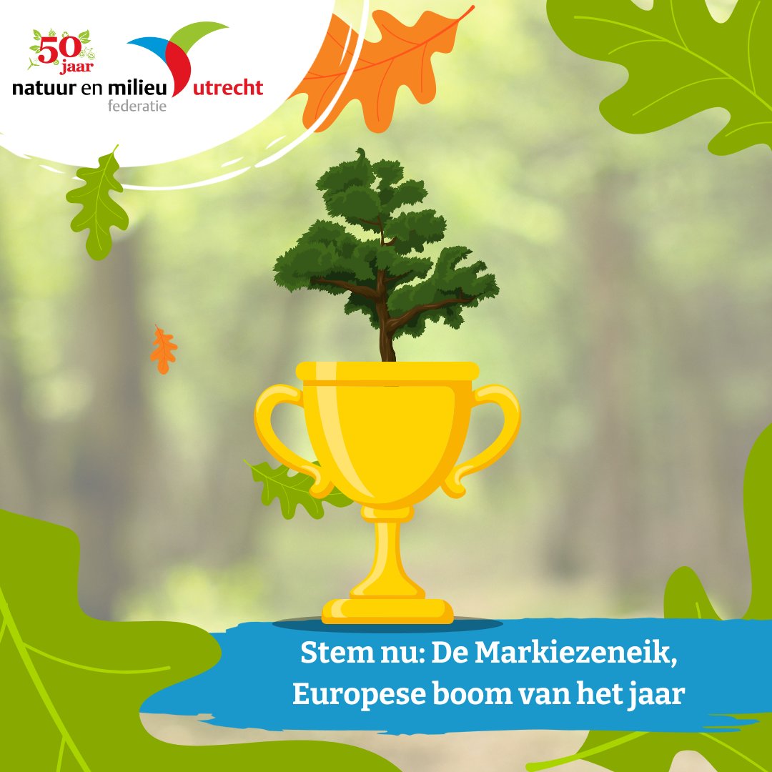 🥇🌳 deboomvanhetjaar.nl 🌳🥇
 
Het Markiezenbos dreigt vernietigd te worden door de verbreding van de A27. Dat gaat zomaar niet! Stem op de Utrechtse Markiezeneik. Zo help je de bewustwording van de vernietiging van het Markiezenbos. Je kan nog tot 1 maart stemmen!