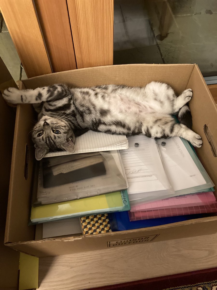 hankzimmerman tweet media