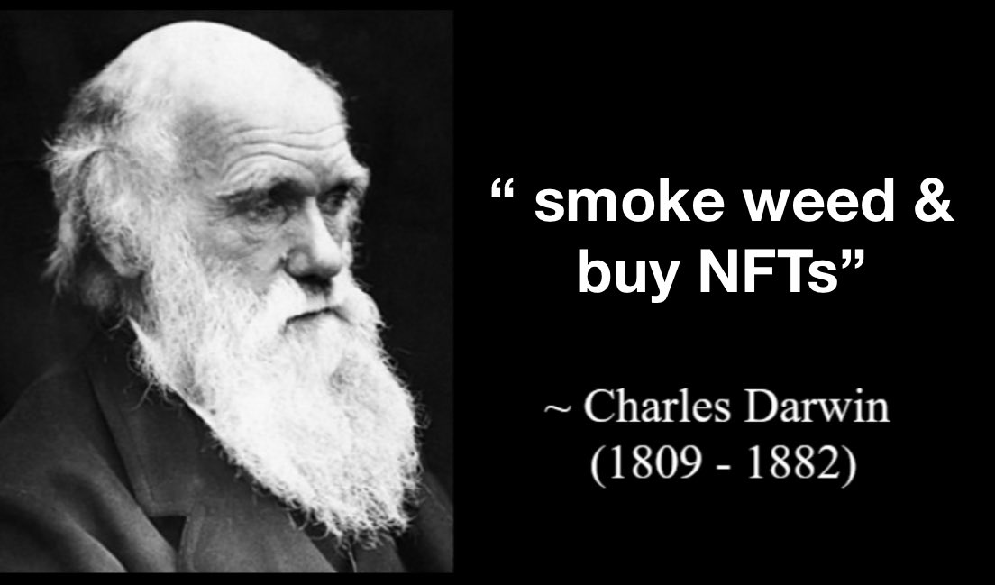 MinisterOfNFTs 🔮 (@ministerofnfts) on Twitter photo 