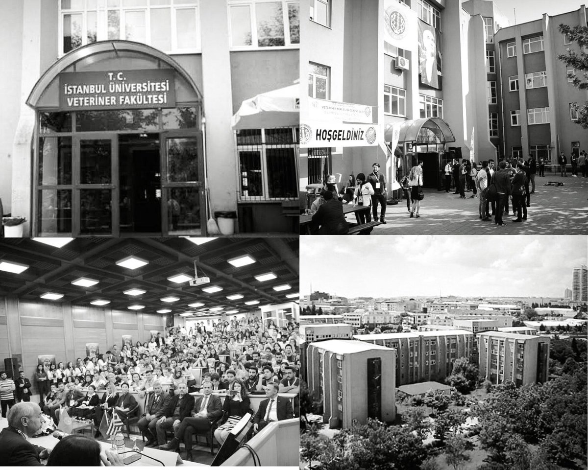 İstediğimiz tek şey hakkımız olan EĞİTİMİMİZ. #iucvetkapatiliyor