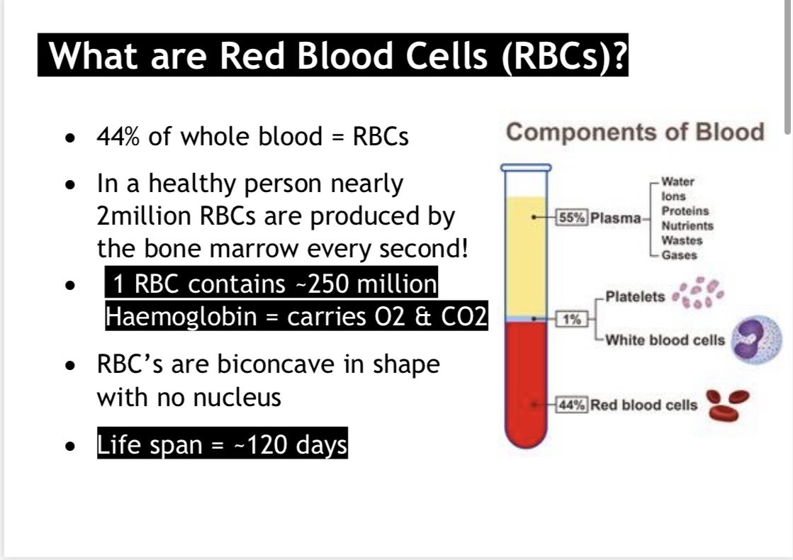 Danielle__casey's tweet photo. 📖🩸3. Red Blood Cells and Anaemia - Part 1 📖🩸 #HaemNursing #HaemNurseEducation #HaemTwitter #anaemia #BMTNursing #HSCTNursing 1/4🧵
Part 2 - Haemolysis https://t.co/R9ppn3tHY3