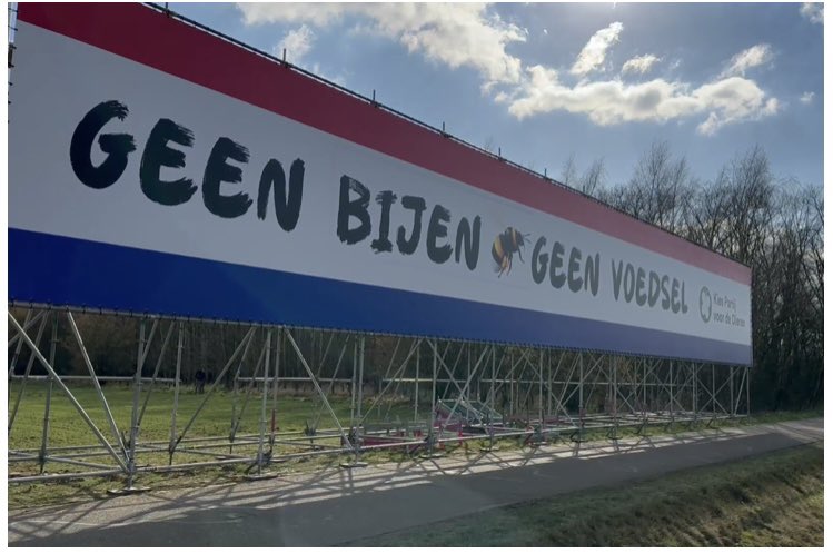 Spandoekie! 🙌🏼

‘t Werd tijd om een paar dingetjes recht te zetten.

Ten eerste de vlag - en ten tweede de feiten.

Geen bijen, geen voedsel! 🐝

Nu te bewonderen langs de A73 🇳🇱
#megaspandoek #PartijvoordeDieren #settingthingsstraight