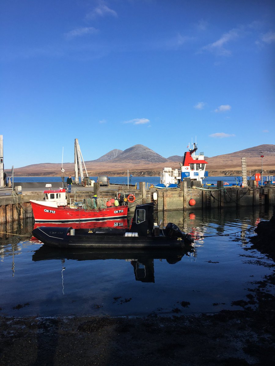 A lovely winter break to Islay over a long weekend in beautiful sunshine on a wild goose chase!