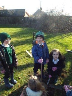 We were excited today as the children planted trees in memoriam to honour Her Majesty, Queen Elizabeth. The fifty trees donated by @IDigTrees have been planted in the school's wild meadow and field by children from Early Years to Year 6. @woodlandtrust @EvolutionTrust